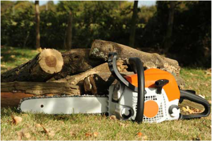 Tree Services near You in Gainesville - Silver Leaf Tree Service